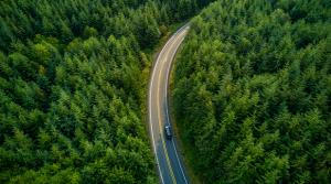 Outlook of car driving through a forest road