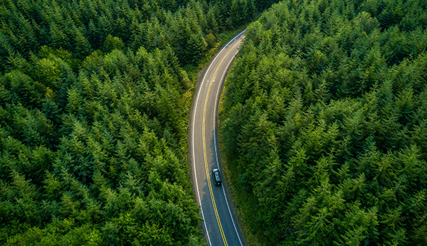 Outlook of car driving through a forest road