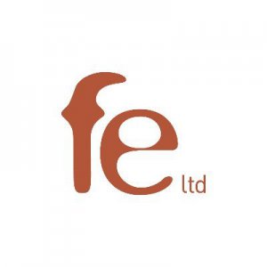 Fe Limited
